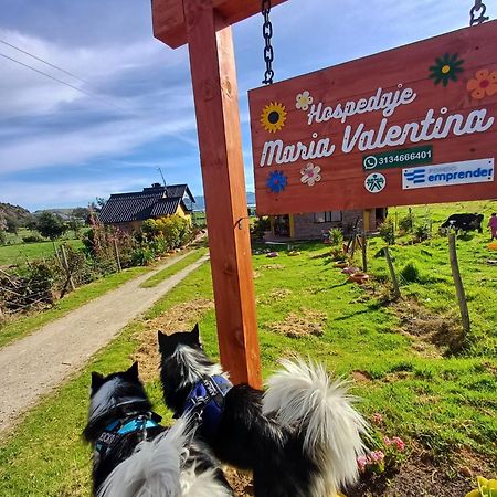 Hospedaje Maria Valentina Tota Bagian luar foto