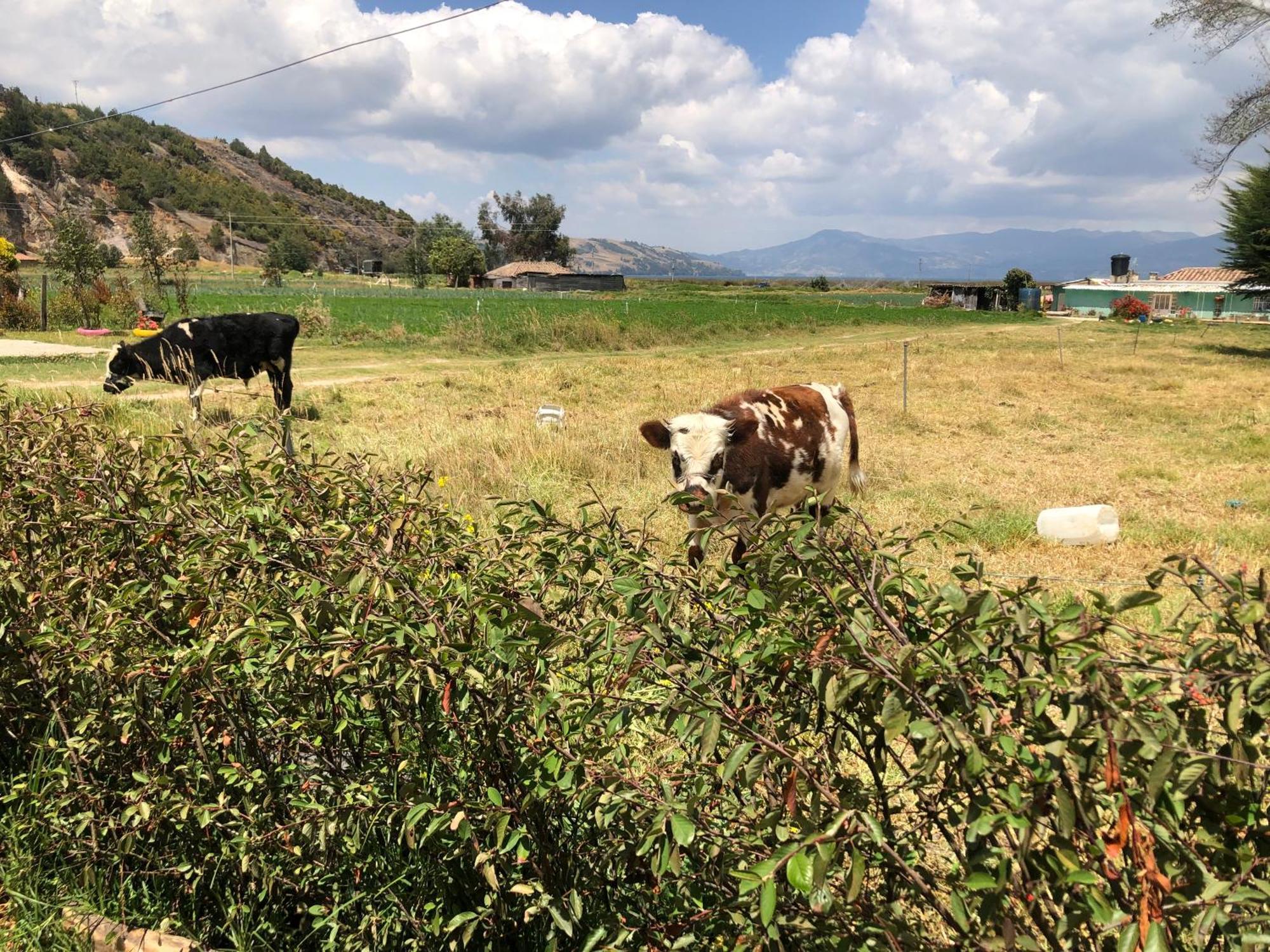 Hospedaje Maria Valentina Tota Bagian luar foto